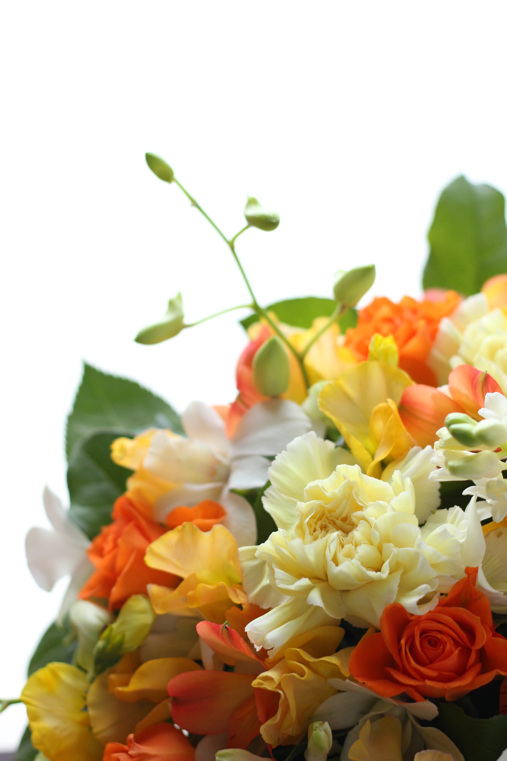 Flower Designer & Photographer という仕事